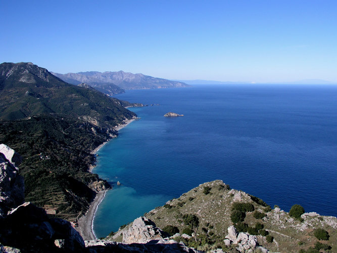 syka04.jpg